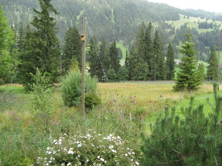 Appartement entier, Chalet Nyati in Saanen, Frutigen-Lenk-Adelboden