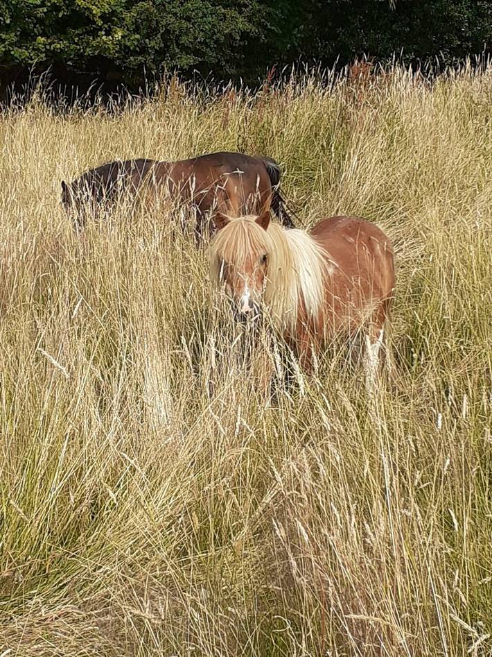 Gîte pour 4 personnes, avec jardin et terrasse à Ablon - 3