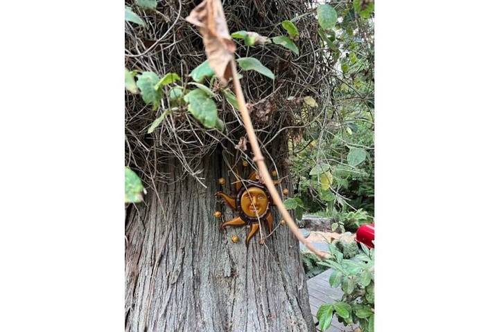 Bungalow für 4 Personen, mit Garten und Whirlpool sowie Terrasse in Washington