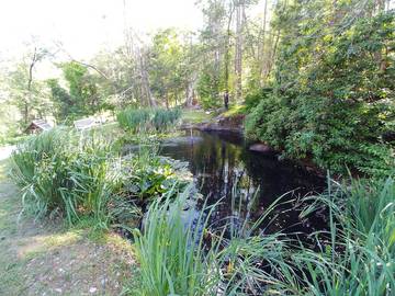 Camping for 4 Guests in Hudson Valley, New York State, Picture 4