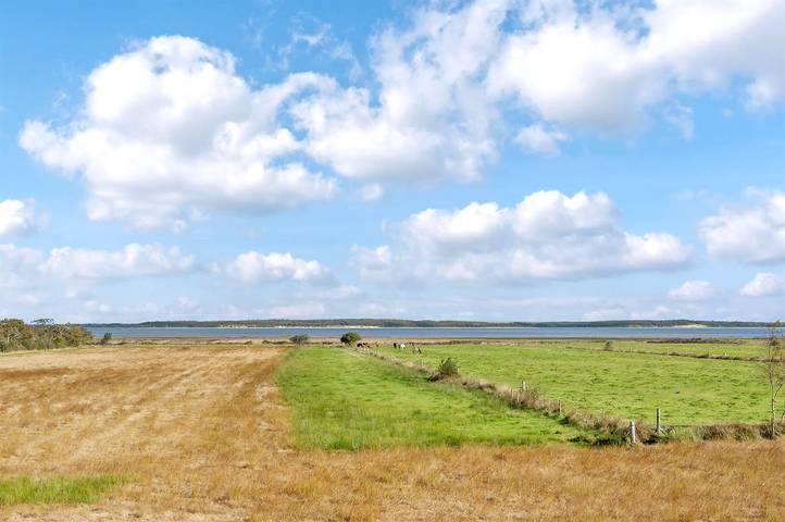 Ferienhaus mit Meerblick für 5 Personen, mit Terrasse, mit Haustier in Blavand - 2