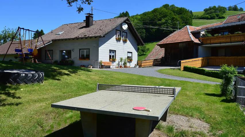Ferienwohnung für 4 Personen, mit Garten und Terrasse in Fröhnd