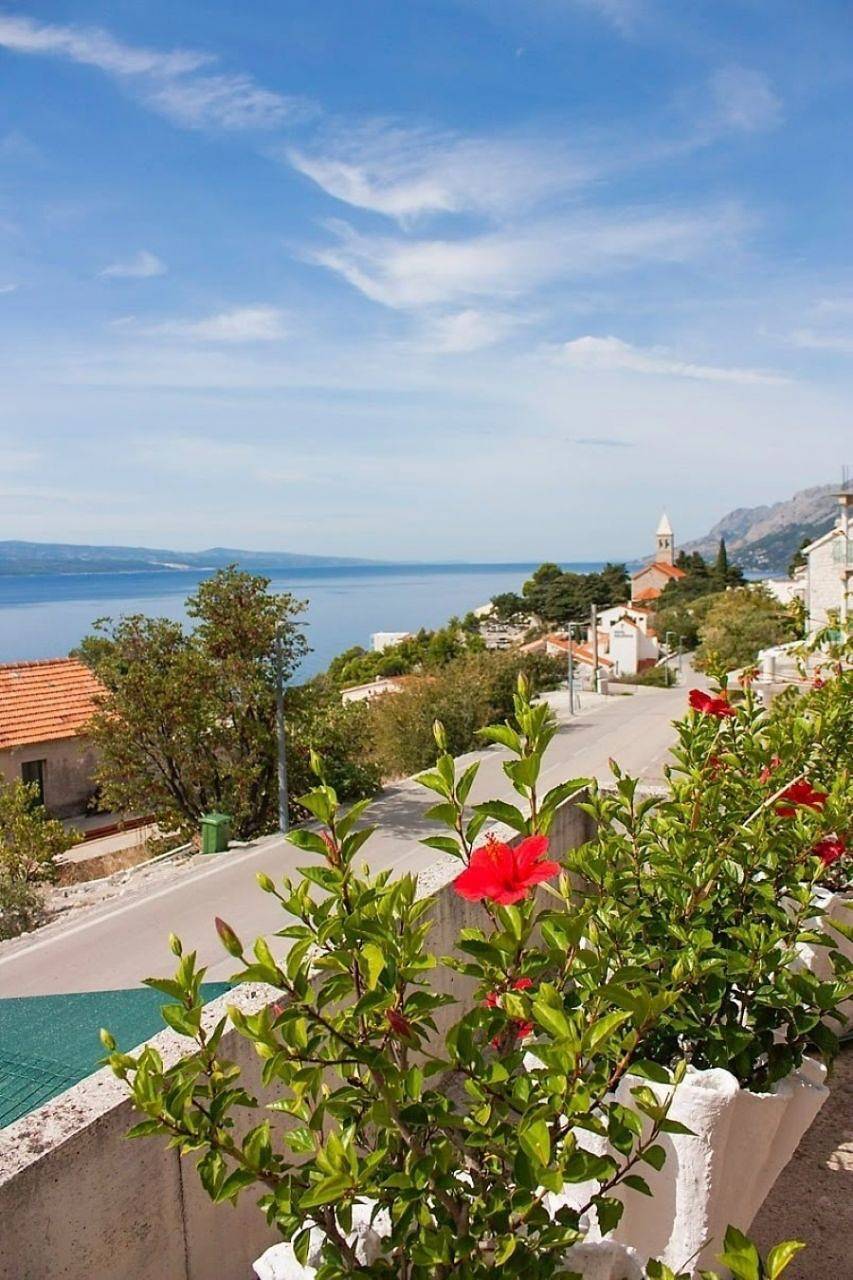 Entire studio, Apartment Ante in Makarska Riviera