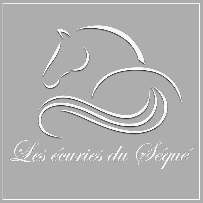 Chambre d’hôte pour 4 personnes, avec jardin et vue, animaux acceptés à Saint-Martin-de-Seignanx