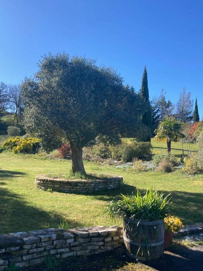 Villa with Private Pool in Sainte-Camelle, Région de Carcassonne