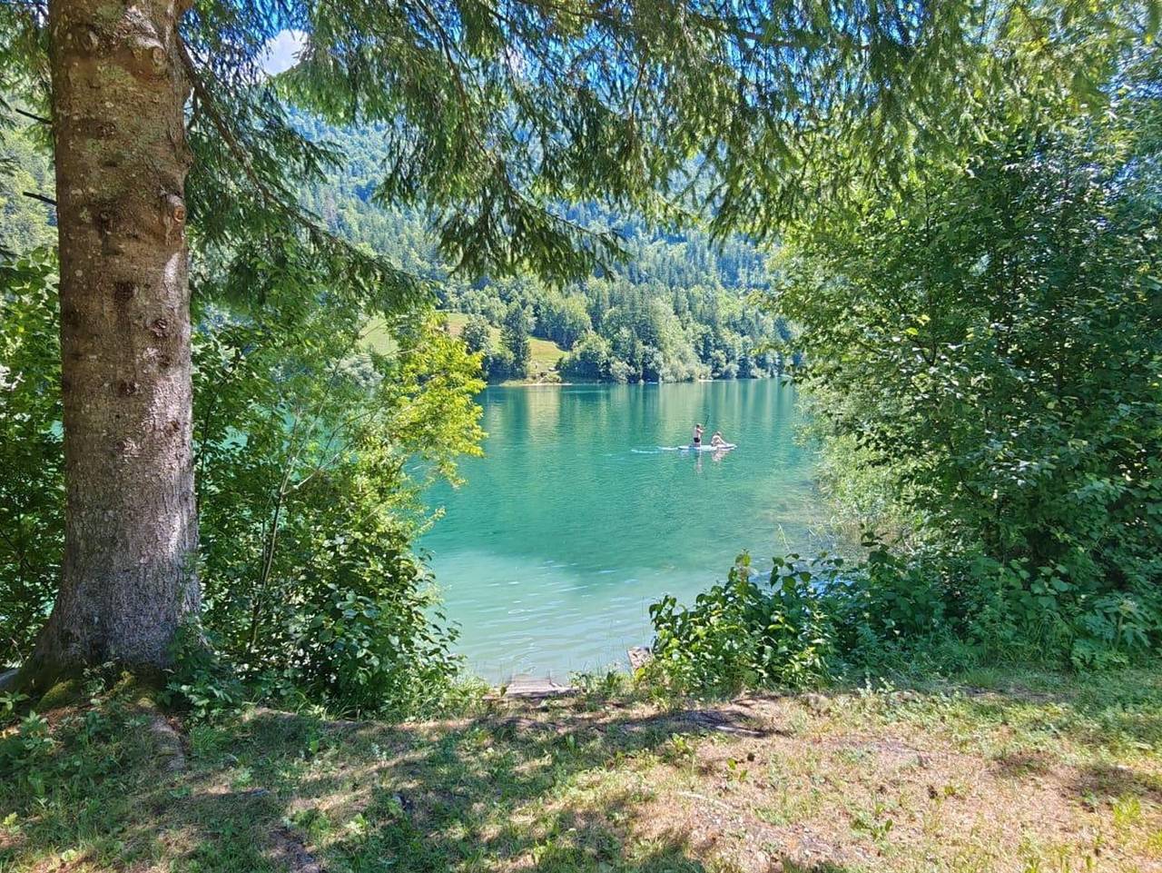 Forsthaus Faistenau in Faistenau, Bezirk Salzburg-Umgebung