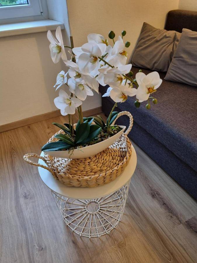 Ganze Wohnung, One-Bedroom Apartment in Roßleithen, Kirchdorf an der Krems (Bezirk)