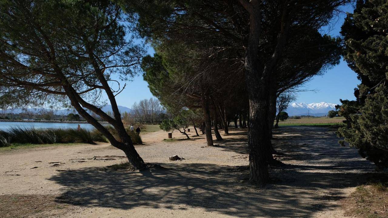 Bastide le Petit Clos - les 2 Gîtes in Perpignan, Mittelmeerküste (Frankreich)