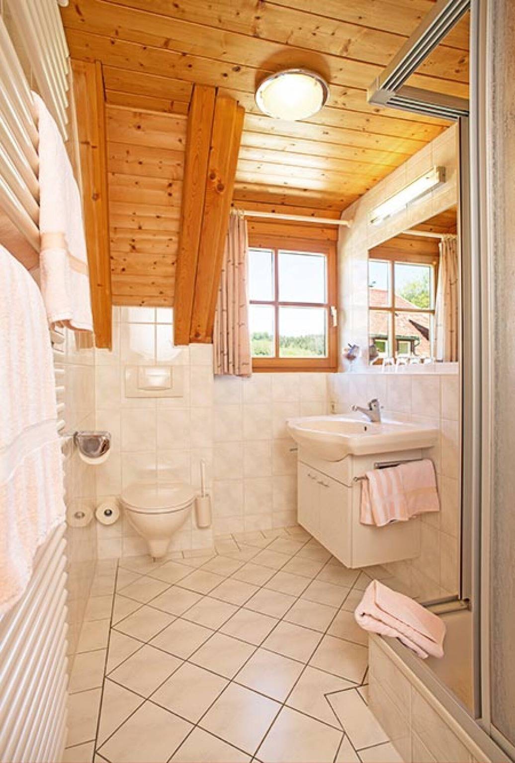 Ganze Wohnung, Ferienwohnung Sonne, 35qm" mit Bergblick, gemeinsamer Terrasse und Wlan in Hinterzarten, Südschwarzwald