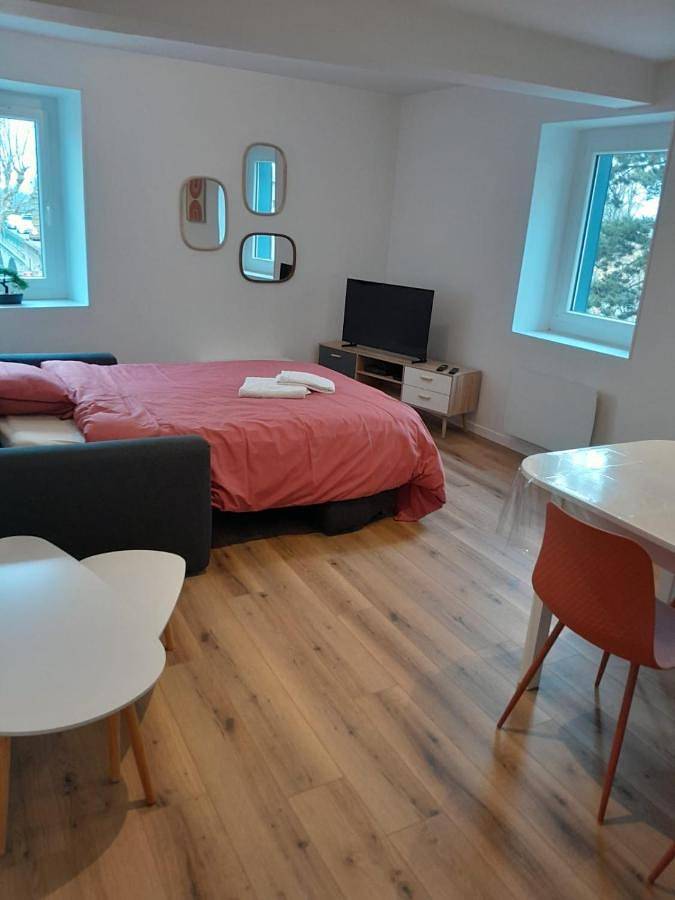 Appartement entier, One-Bedroom Apartment in Montrond-les-Bains, Montbrison