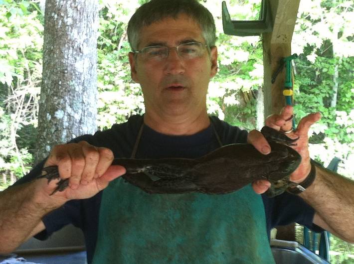 Log cabin for 6 people, with terrace, with pets in Louisiana