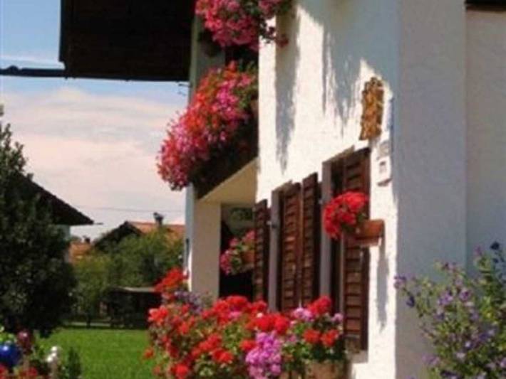 Ferienwohnung für 2 Personen, mit Terrasse und Garten in Gmund - 3