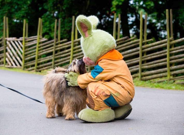 Ferienpark für 4 Personen, mit Sauna und Ausblick sowie Garten in Schweden - 2