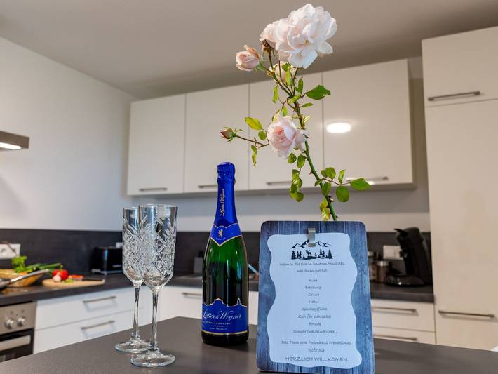 Ferienwohnung für 4 Personen, mit Balkon und Terrasse sowie Sauna und Ausblick in Hausach - 4