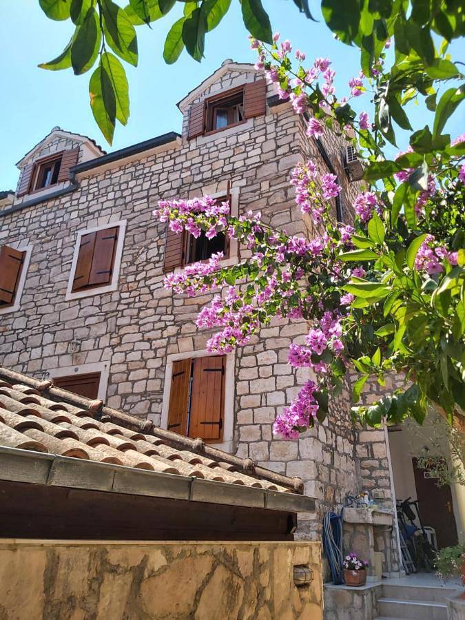 Appartamento vacanze per 2 persone, con giardino - 1