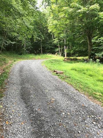 Cottage for 6 Guests in Greenbrier River, West Virginia, Picture 4