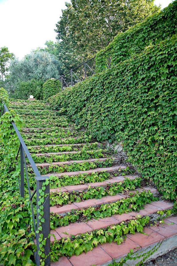 Maison de campagne pour 16 personnes, avec jardin ainsi que vue et piscine, animaux acceptés à Reus - 3