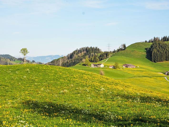 Panoramablick - Panoramablick 100.1 in Haslen AI, Schlatt-Haslen