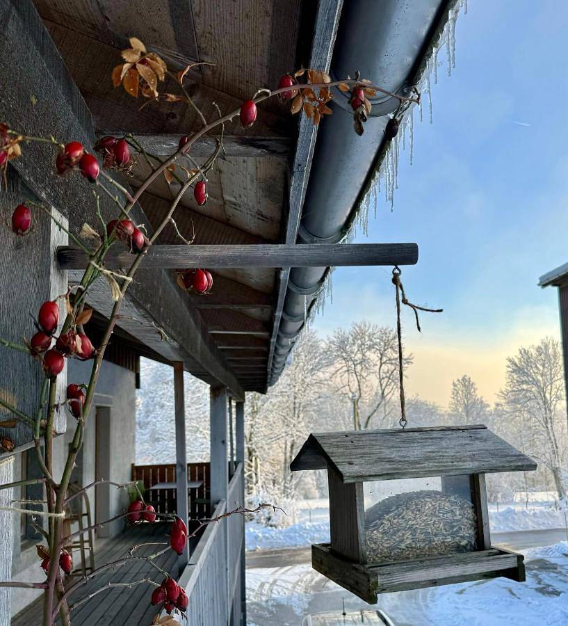 Ganze Wohnung, Pastelle in Val-de-Travers, Massif du Jura
