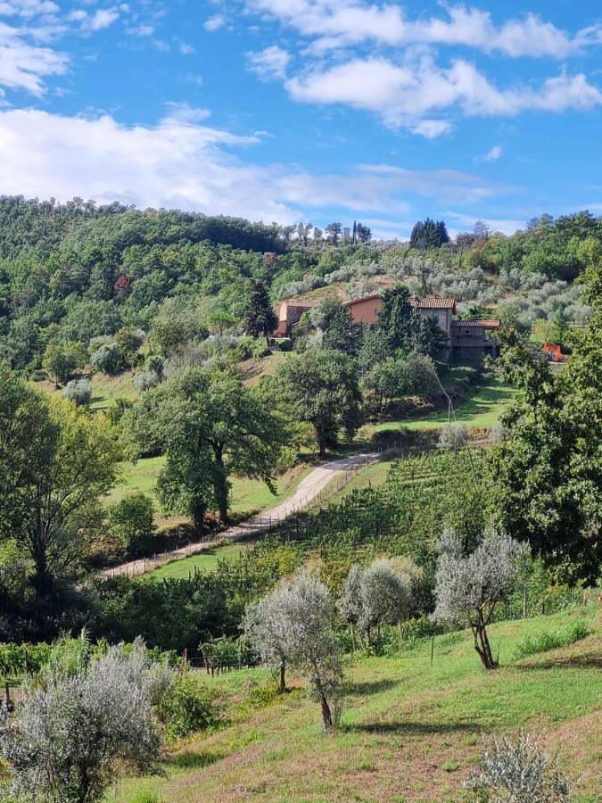 Gîte pour 4 personnes, avec jardin et terrasse, animaux acceptés à Greve In Chianti - 4