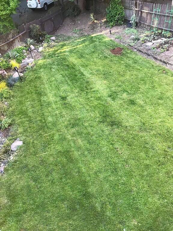 Boutique-Hotel Style Apt. in der Gegend von Sunnyside / Laurelhurst in Portland, Multnomah County