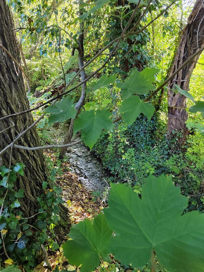 Gîte pour 3 personnes, avec jardin à Nant - 2