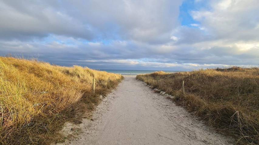 Ferienhaus für 7 Personen, mit Whirlpool und Terrasse sowie Sauna in Marielyst - 4