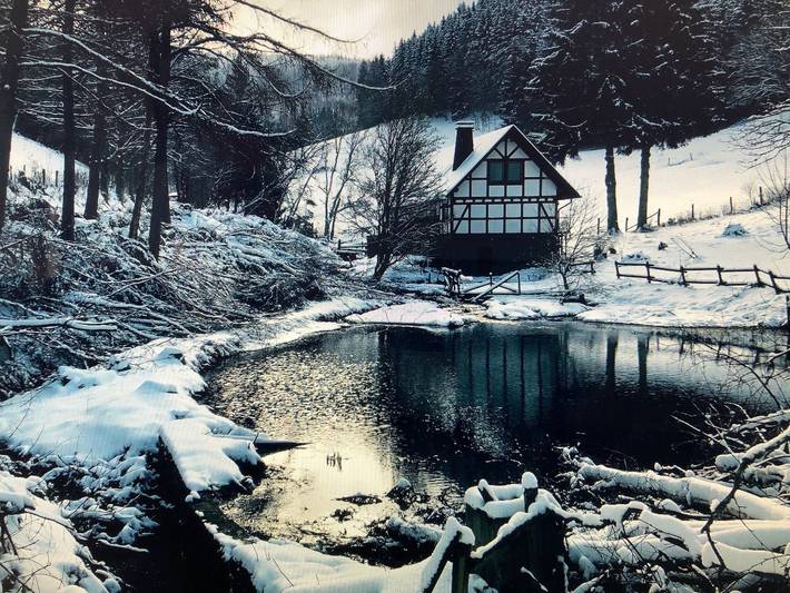 Ferienhaus für 50 Personen, mit Garten und Terrasse in Winterberg - 4