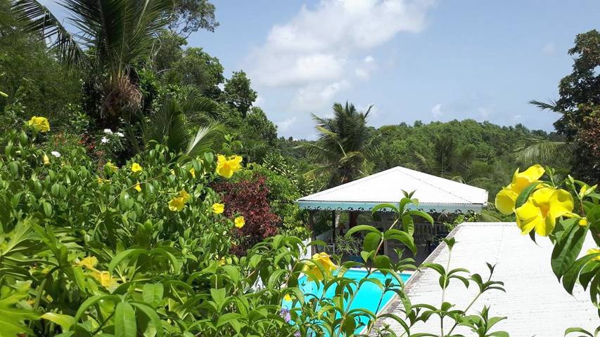 Maison d’hôte pour 3 personnes, avec vue ainsi que jardin et piscine, animaux acceptés à Les Abymes - 3