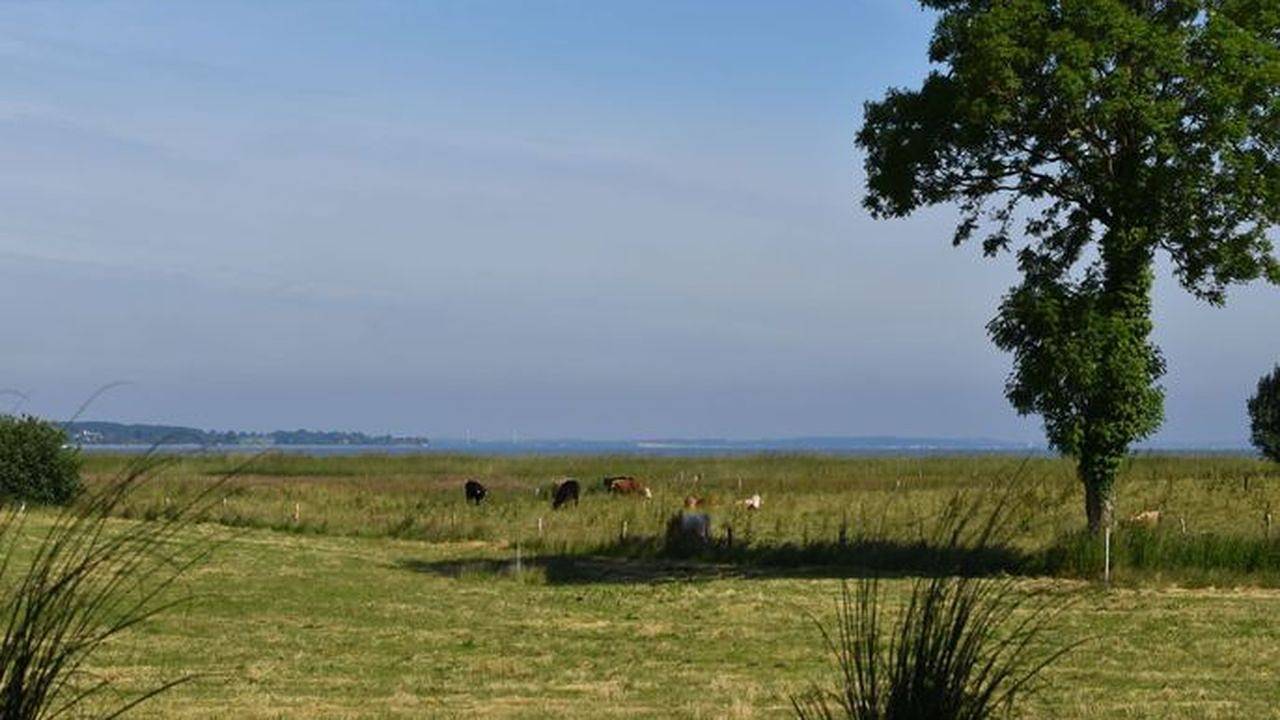 Ferienhaus für 4 Personen (80 m²) in Niesgrau in Niesgrau, Schleswig-Flensburg