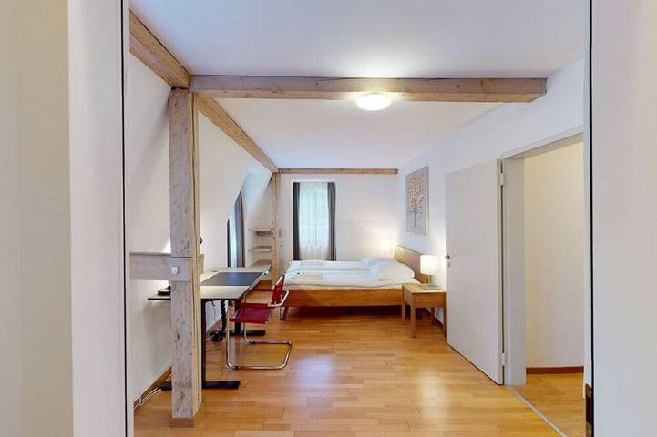 Ganze Wohnung, Penthouse flat in the city center/near lake (Sf18) in Zürich Zustellkreis, Zürich