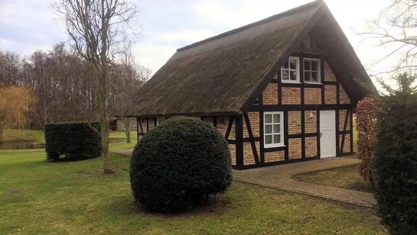 Ferienhaus für 6 Personen, mit Garten und Sauna, mit Haustier in Garz/Rügen - 4