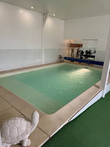 Gîte pour 14 personnes, avec jardin ainsi que terrasse et jacuzzi, animaux acceptés à Restigné