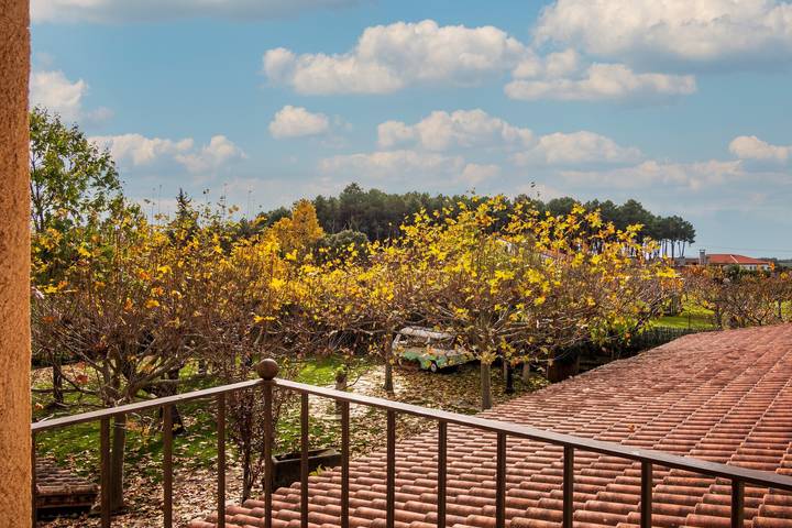 Habitación para 2 personas, con piscina para niños y jardín, Se admiten mascotas en Provincia de Salamanca - 2