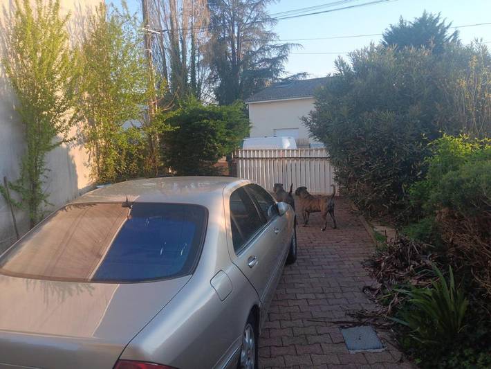 Gîte pour 3 personnes, avec vue et terrasse à Le Taillan-Médoc - 3