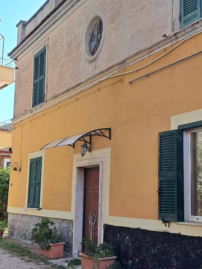 La gatta bianca in Marino, Castelli Romani