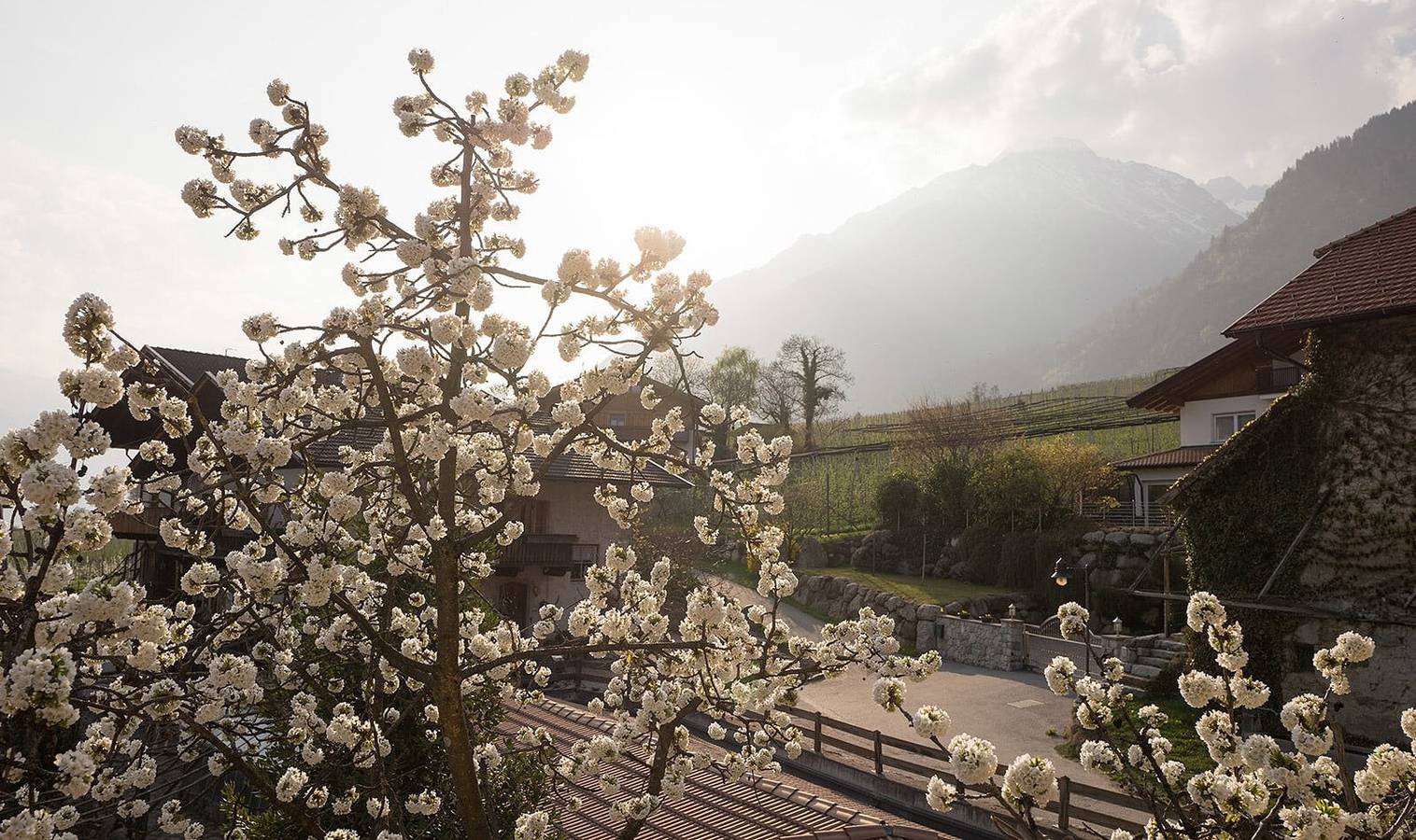 Ganze Wohnung, Rasnerhof Ferienwohnung Zielspitz mit Bergblick, Balkon und Wlan in Oberplars, Algund