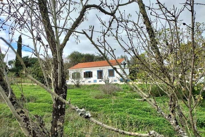 Cottage für 6 Personen, mit Garten - 1