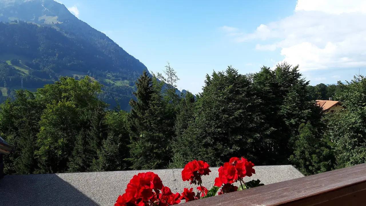 Ganze Ferienwohnung, Ferienwohnung für 4 Personen (125 m²) in Scharnachtal in Reichenbach im Kandertal, Frutigen - Lenk - Adelboden