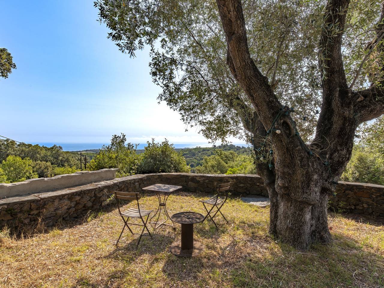 Formicaccia in Valle-di-Campoloro, Región de Corte