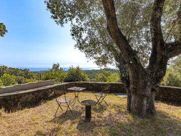 Agriturismo voor 8 Personen in Valle-di-Campoloro, Haute-Corse, Afbeelding 1