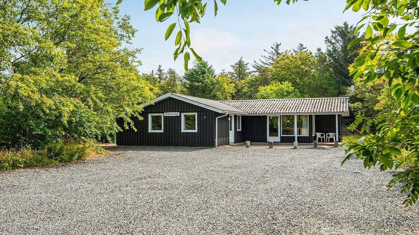 Ferienhaus für 8 Personen, mit Whirlpool und Pool in Henne Strand