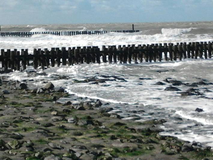 Chambre d’hôte pour 3 personnes, animaux acceptés dans Veere - 3