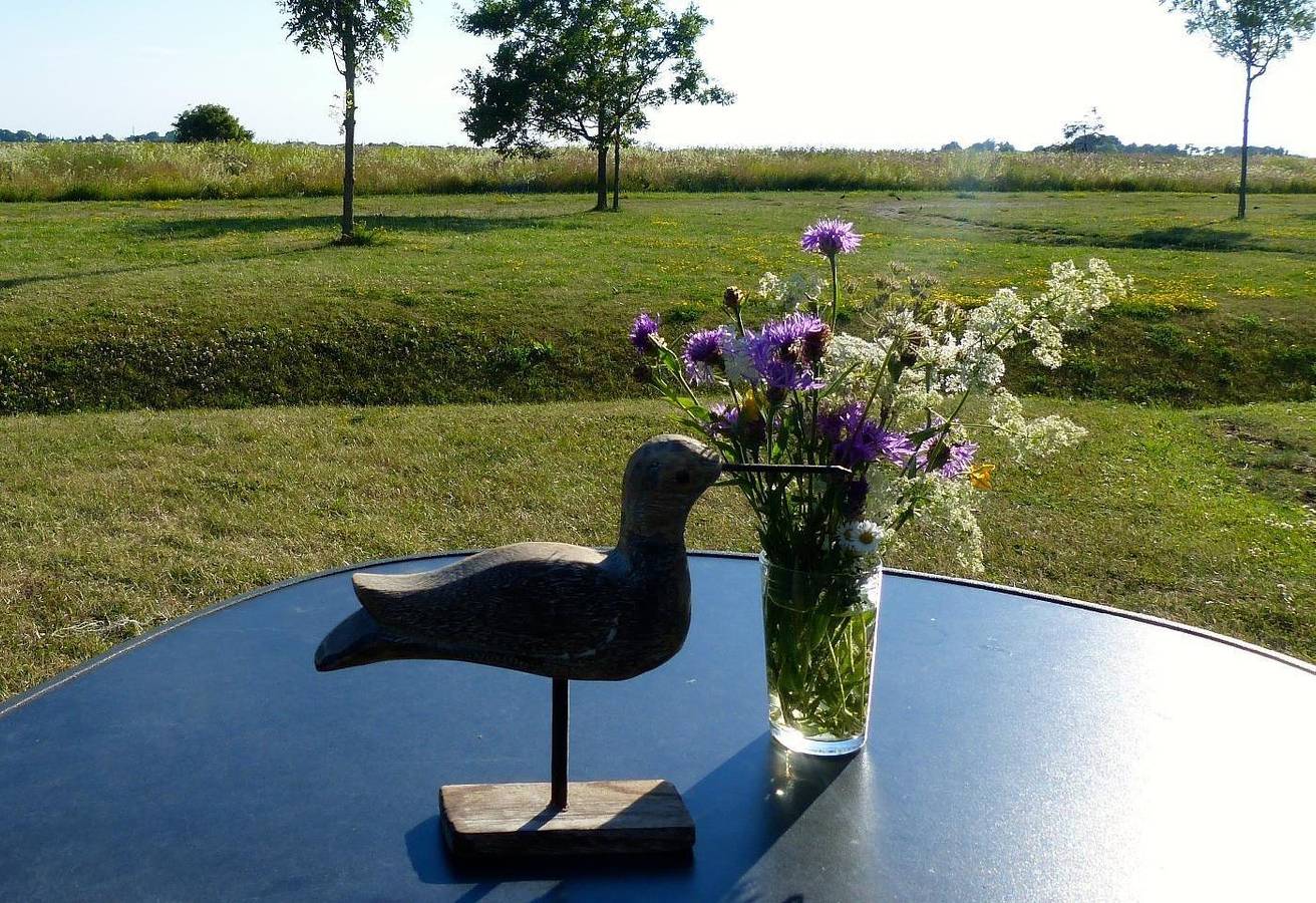 Ferienhaus Sonnenblume in Kreptitz, Dranske