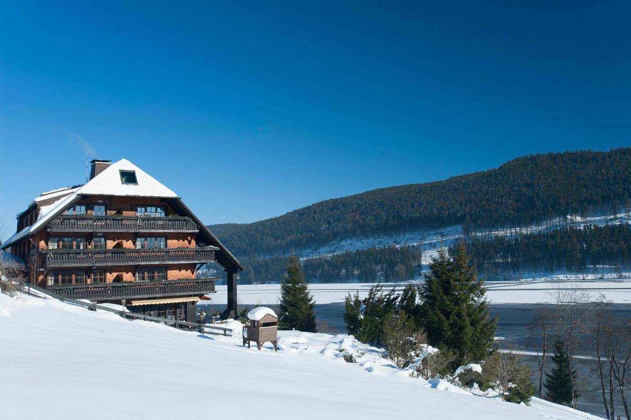Alemannenhof - Boutique Hotel am Titisee in Titisee (Titisee-Neustadt), Hinterzarten