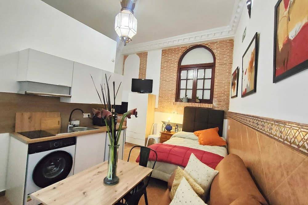 Ganze Wohnung, Central And Special Deluxe Studio, Everything Within Walking Distance And Very Coquettish in Centro (Salamanca), Salamanca