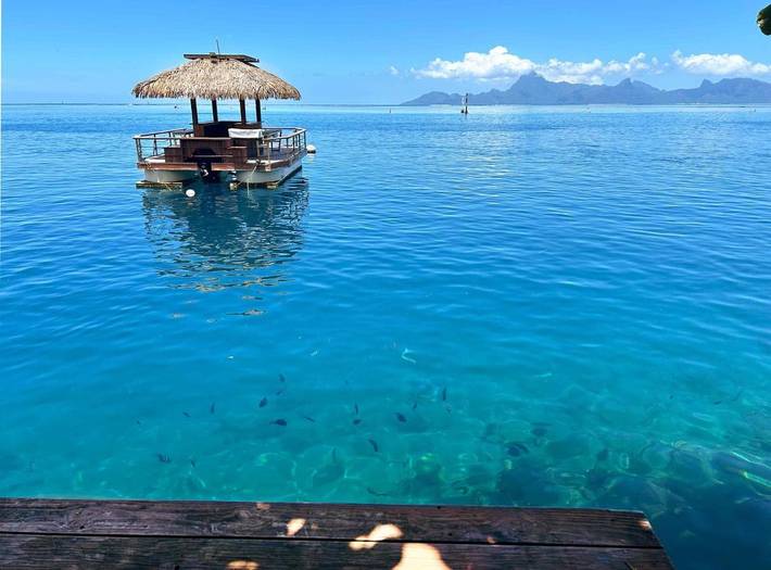 Maison de vacances pour 3 personnes, avec jardin et vue, animaux acceptés dans Polynésie française - 3