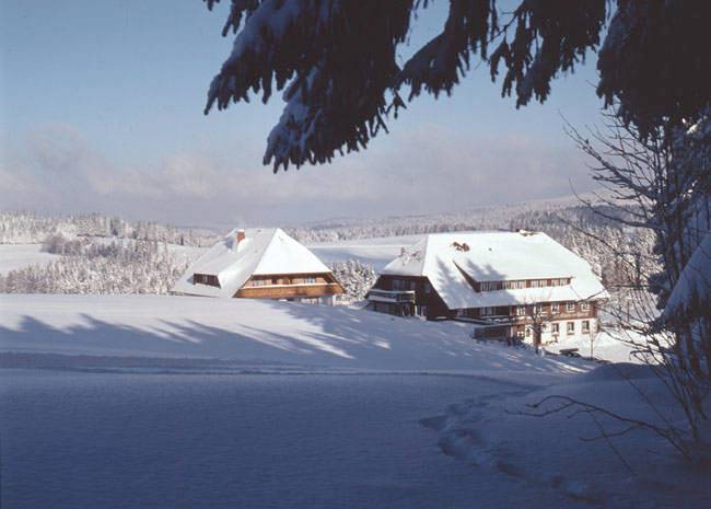 Hotel, mit Terrasse und Sauna in St. Märgen - 4