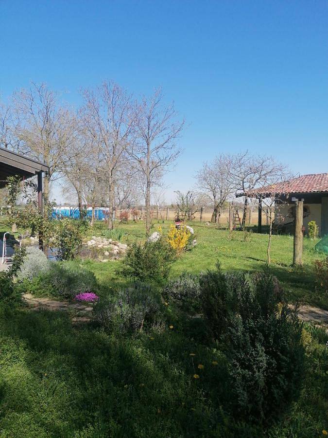 Location de vacances pour 2 personnes, avec balcon ainsi que piscine et jardin à Azzano Decimo - 2