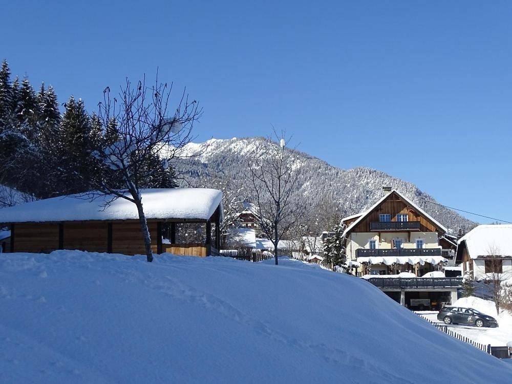 Landhof Schober Studio's in Gailtaler Alpen, Gitschtal